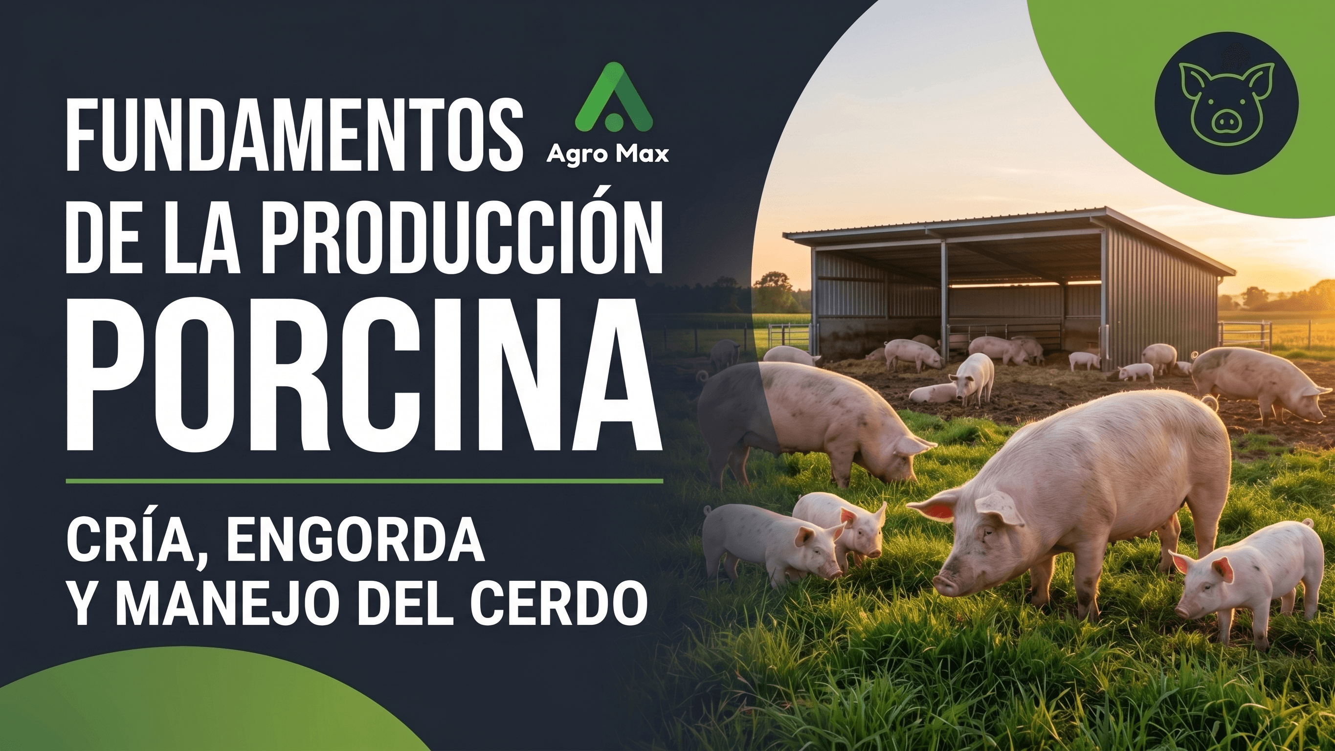 Fundamentos de la Producción Porcina: Cría, Engorda y Manejo del Cerdo